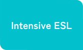 Intensive ESL
